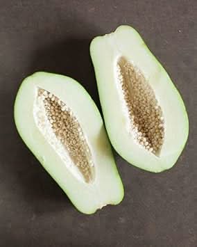 white papaya fruit for planting growing tropical trees heirloom non gmo Fruit seeds