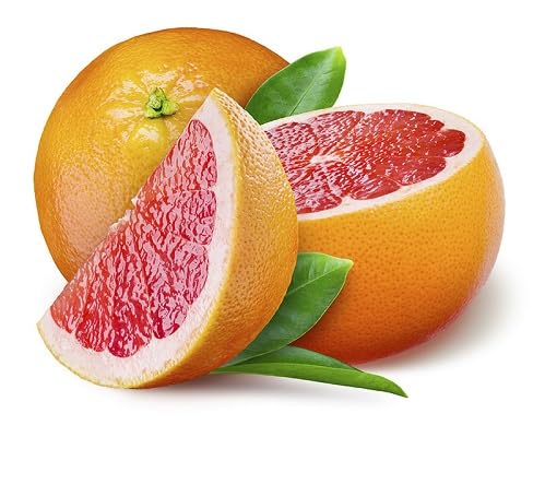 Grape Fruit Seeds Natural Backyard Planting Choice for Fresh Harvest Premium