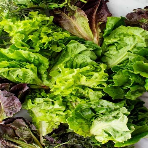 Salad vegetable seeds - Heirloom, Organic, Non Gmo Garden Seeds for kitchen garden planting