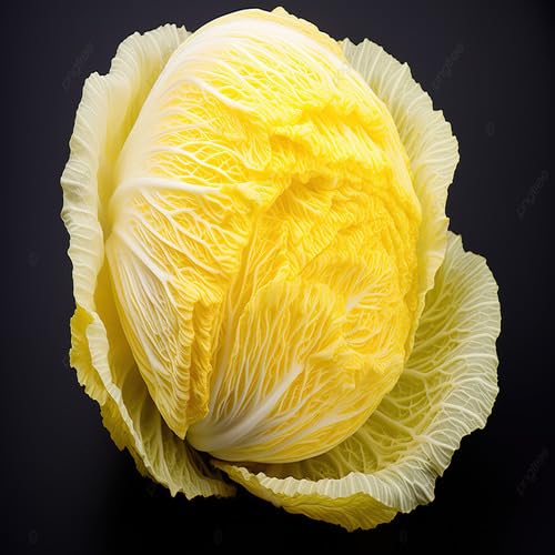 Yellow Cabbage vegetable seeds vegetable seeds for Home Gardening, Fresh Seasonal Vegetable Planting for kitchen garden planting