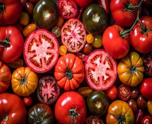 Tomato Seed vegetable seeds for Home Gardening, Heirloom, Non-GMO, High Germination Organic for kitchen garden planting