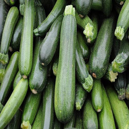 green squash vegetable seeds