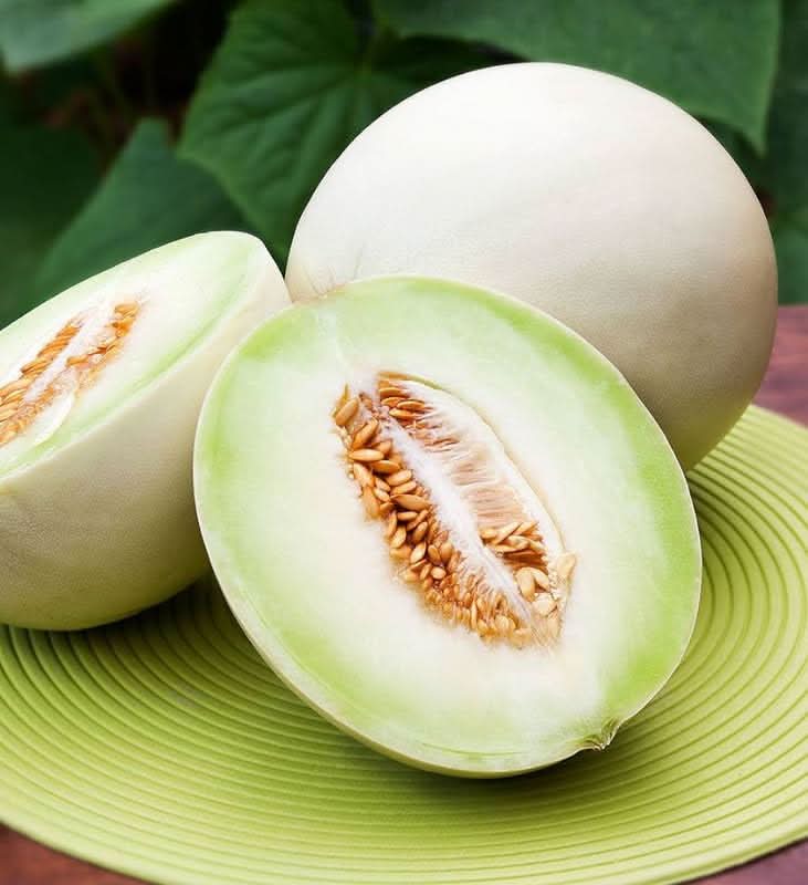white cantaloupe melon for planting premium quality juicy sweet melons Fruit seeds
