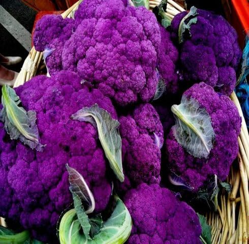 Purple califlower vegetable seeds for Home Gardening, Easy Grow Culinary Garden Selection for kitchen garden planting