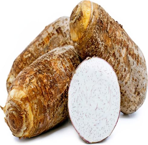Brown Taro vegetable seeds for Home Gardening, Nutritious Backyard Harvest Collection for kitchen garden planting