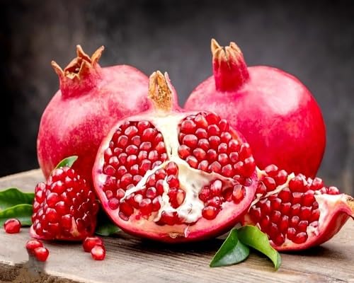 Red Pomegranate Fruit Seeds Fruit Seeds for Fruit