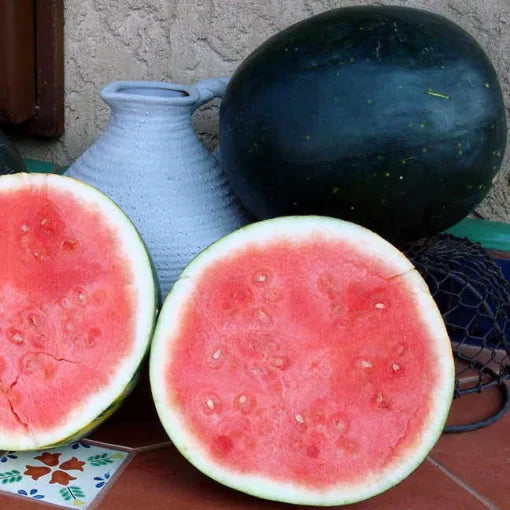 moon seedless watermelon high organic Fruit Seeds organic garden seeds