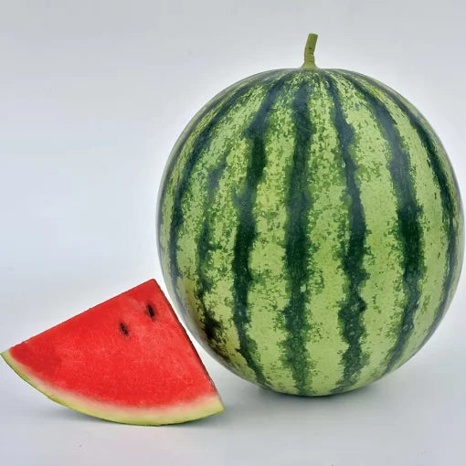 mambo hybrid watermelon crisp juicy deep red melons high organic Fruit Seeds organic garden seeds