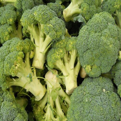 Broccoli Vegetable Seeds Heirloom, Non-GMO for Home Garden Planting