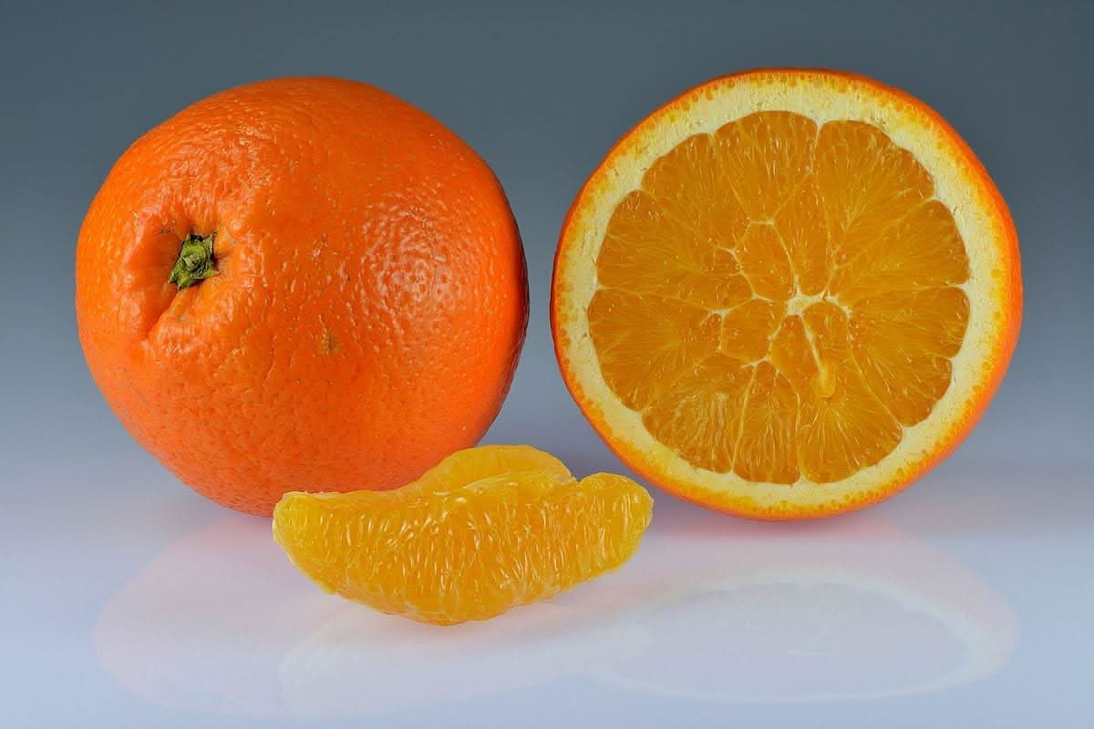 Grapefruit Ideal Tropical And Subtropical Gardens Fruit Seeds