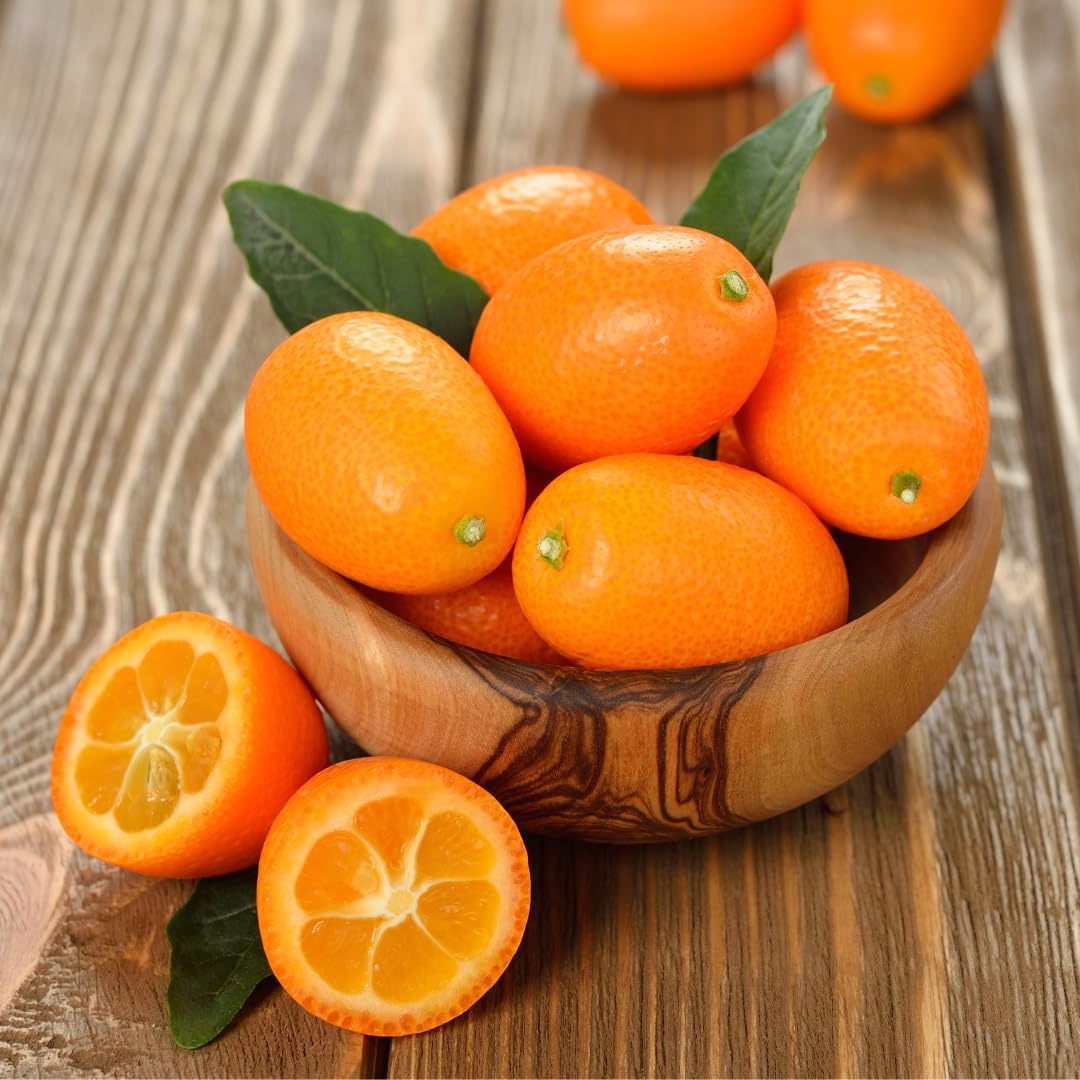 Kumquat Orange Fruit Orchard And
