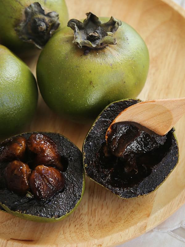 Black Sapote Fruit Tropical For Landscape Fruit Seeds
