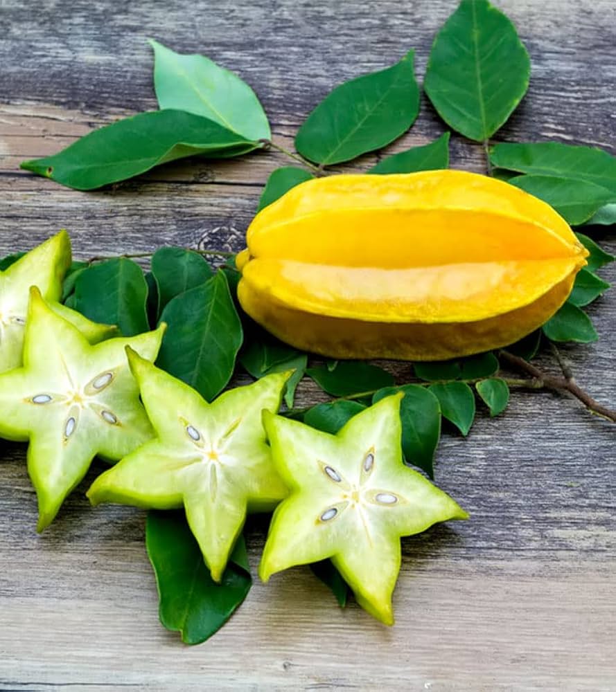 star fruit averrhoa carambola in urban garden