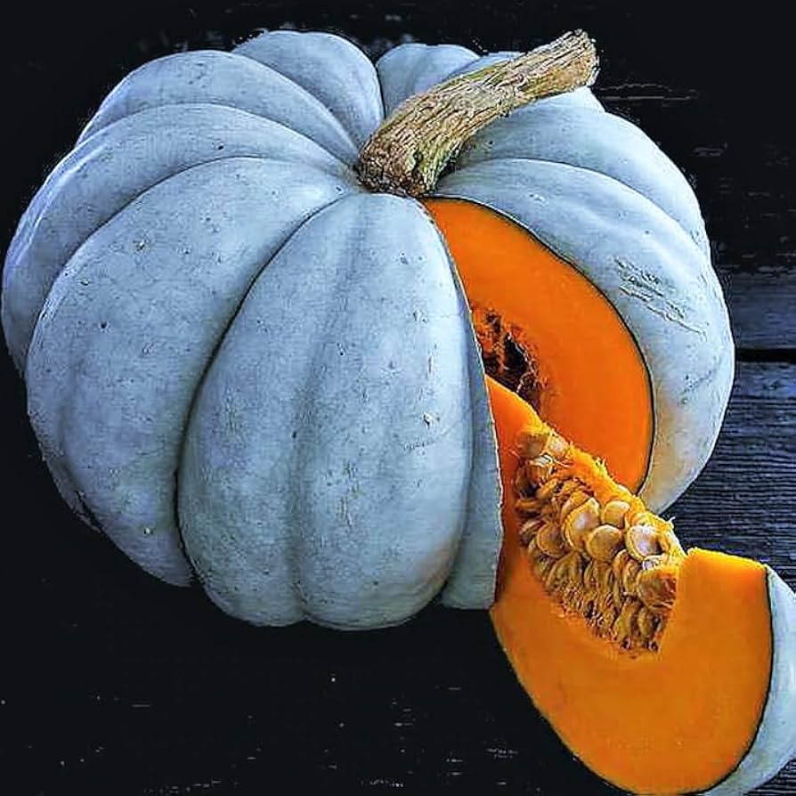Blue Doll Pumpkin