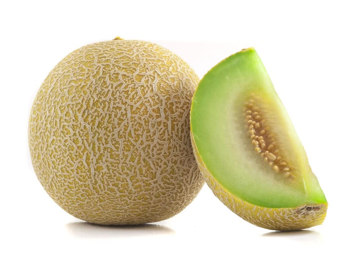 Green Honeydew Melon Fruit Grow Refreshing Melons At Home For Backyard Fruit Seeds