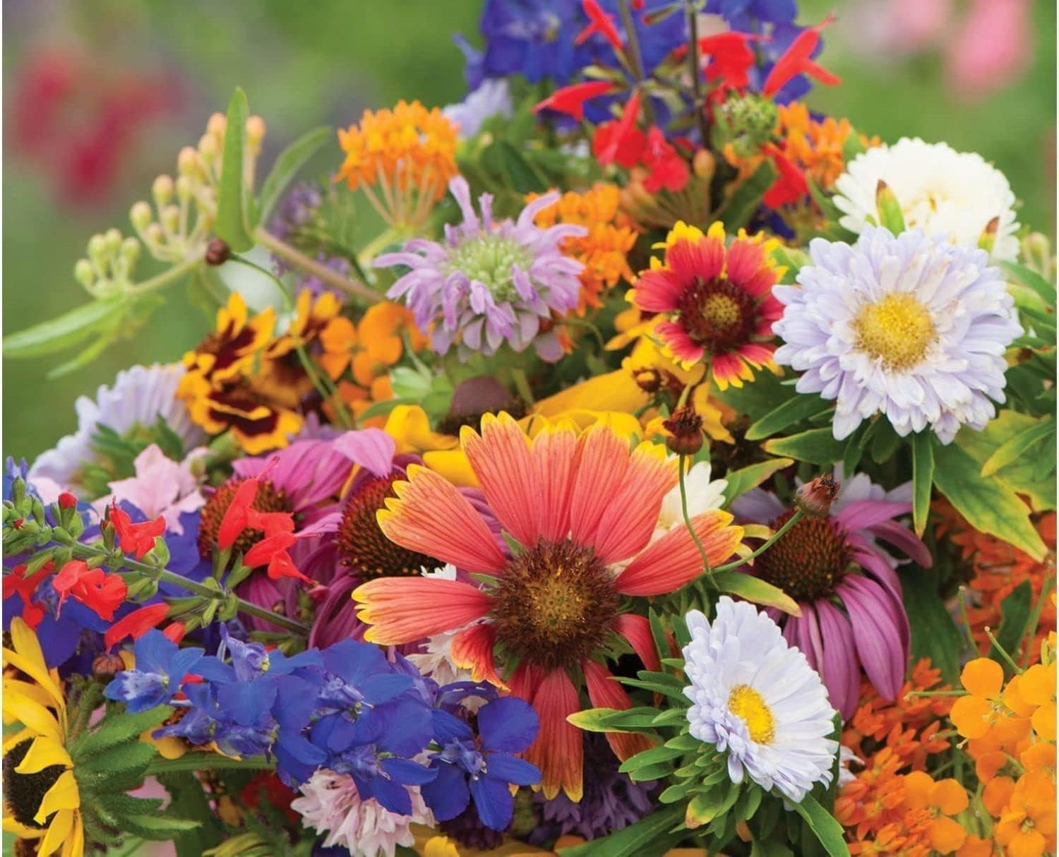 Flower Mix