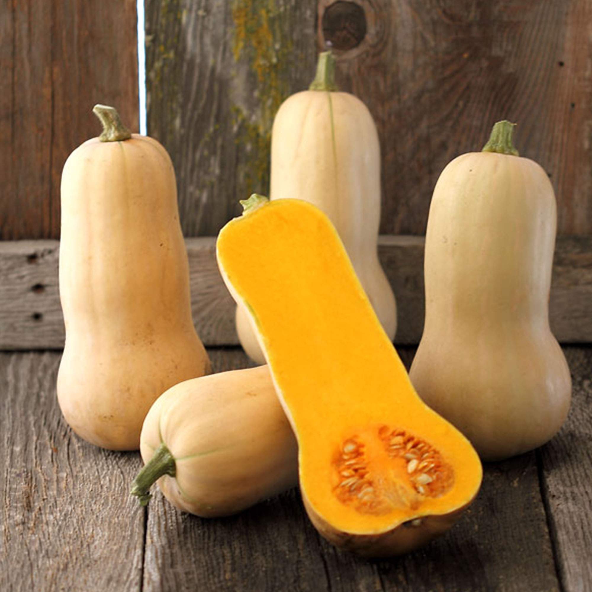 Buttercup Squash