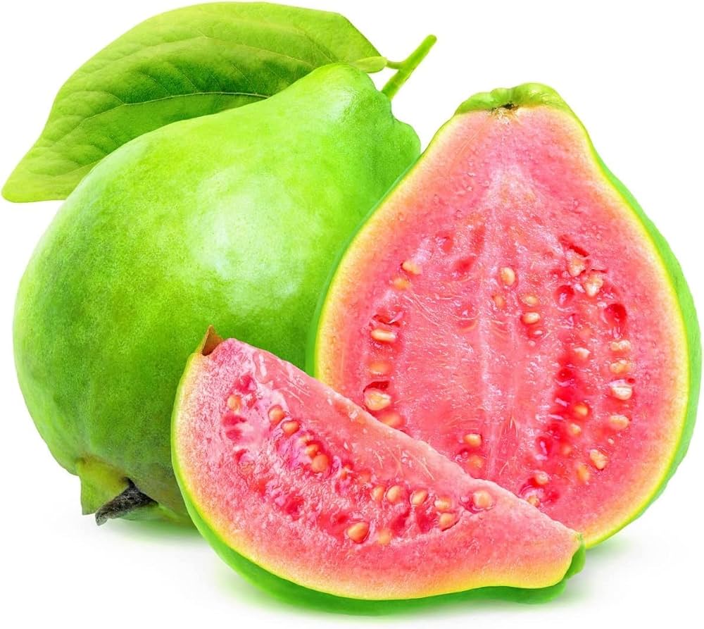Guava Fruit Mix Tropical Trees