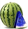Watermelon Fruit Citrullus Lanatus And