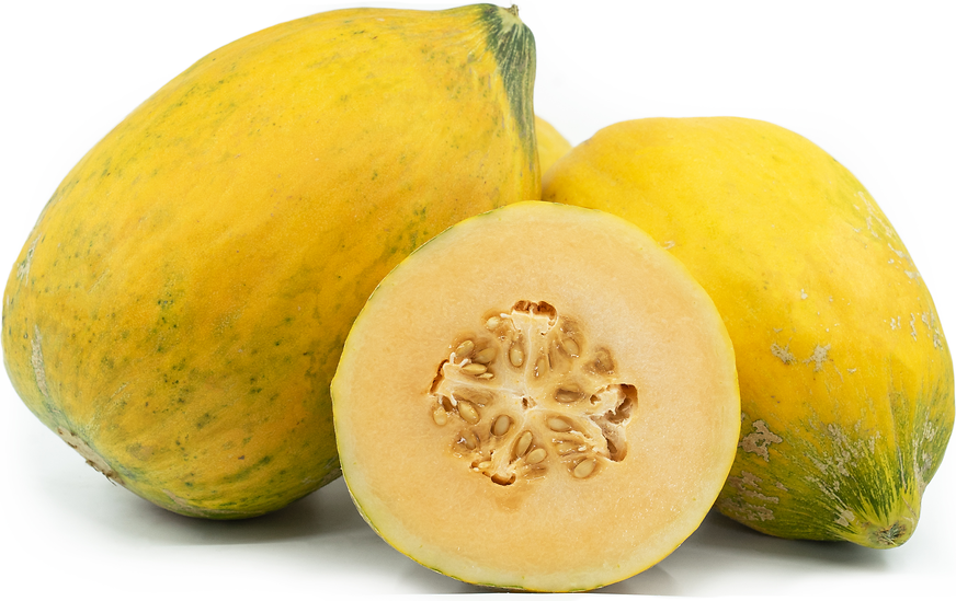 crenshaw melon cantaloupe hybrid fruit for planting heirloom Fruit seeds