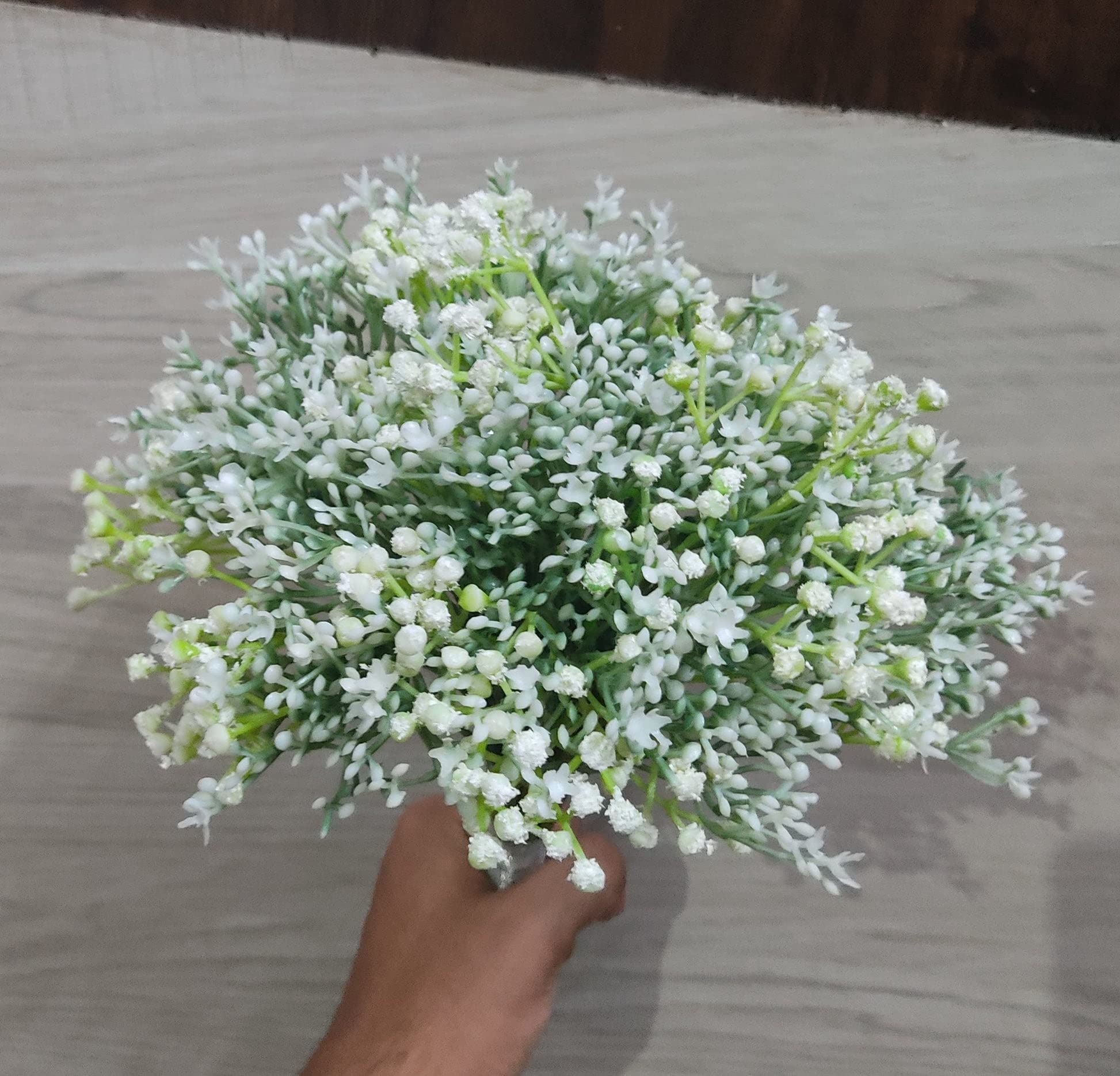 Happy Farm Gypsophila Sky Stars Hybrids Home Garden Landscaping Perennial Flowers Flower Seeds