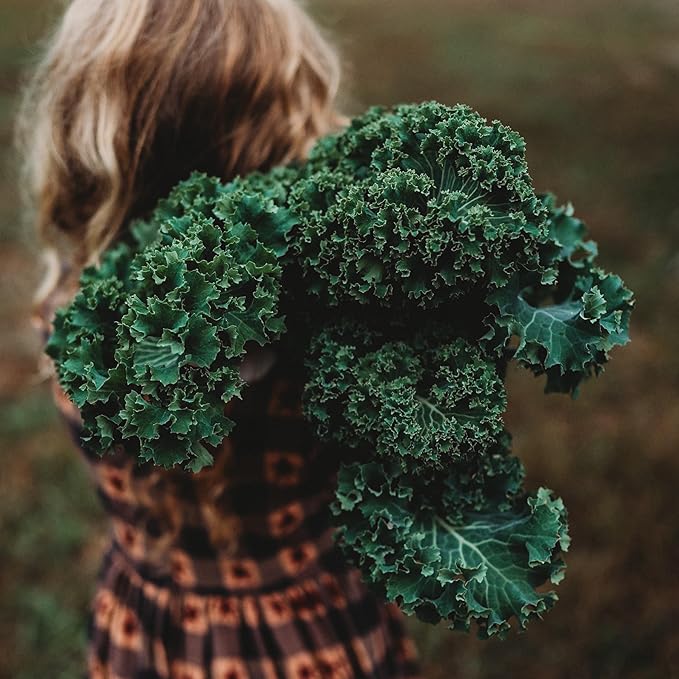 kale brassica oleracea vegetable in patch Fruit