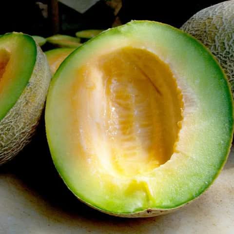 ice cream cantaloupe fruit delicious smooth melons for summer gardens Fruit seeds