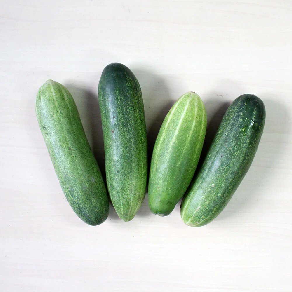 Cucumber Vegetable Seeds for Planting Vegetable Seeds for Home Gardening, Natural Home Farming Heirloom, Non-GMO for Home Garden Planting