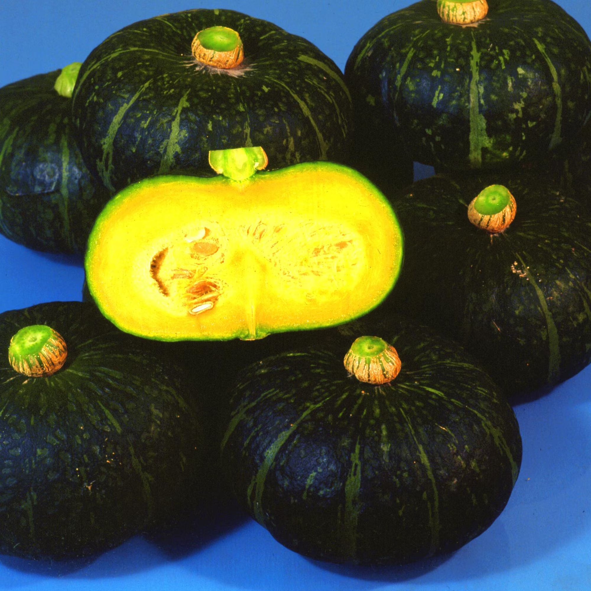 Japanese Kabocha Squash I Kurinishiki I Asian Pumpkin
