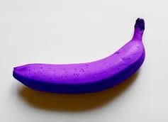 Banana Fruit Purple Variety Unique Harvests For Sustainable Orchard Fruit Seeds