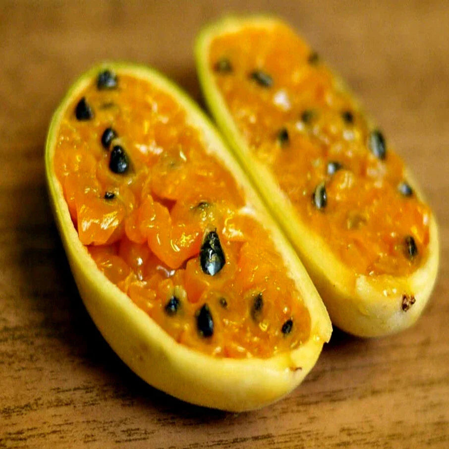 banana passionfruit passiflora mollissima flower vine plant rare high organic Fruit Seeds organic garden seeds