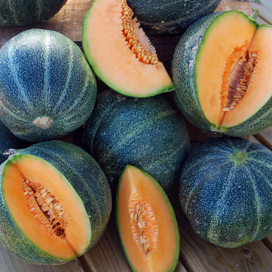 Cantaloupe Blue Fruit Seeds