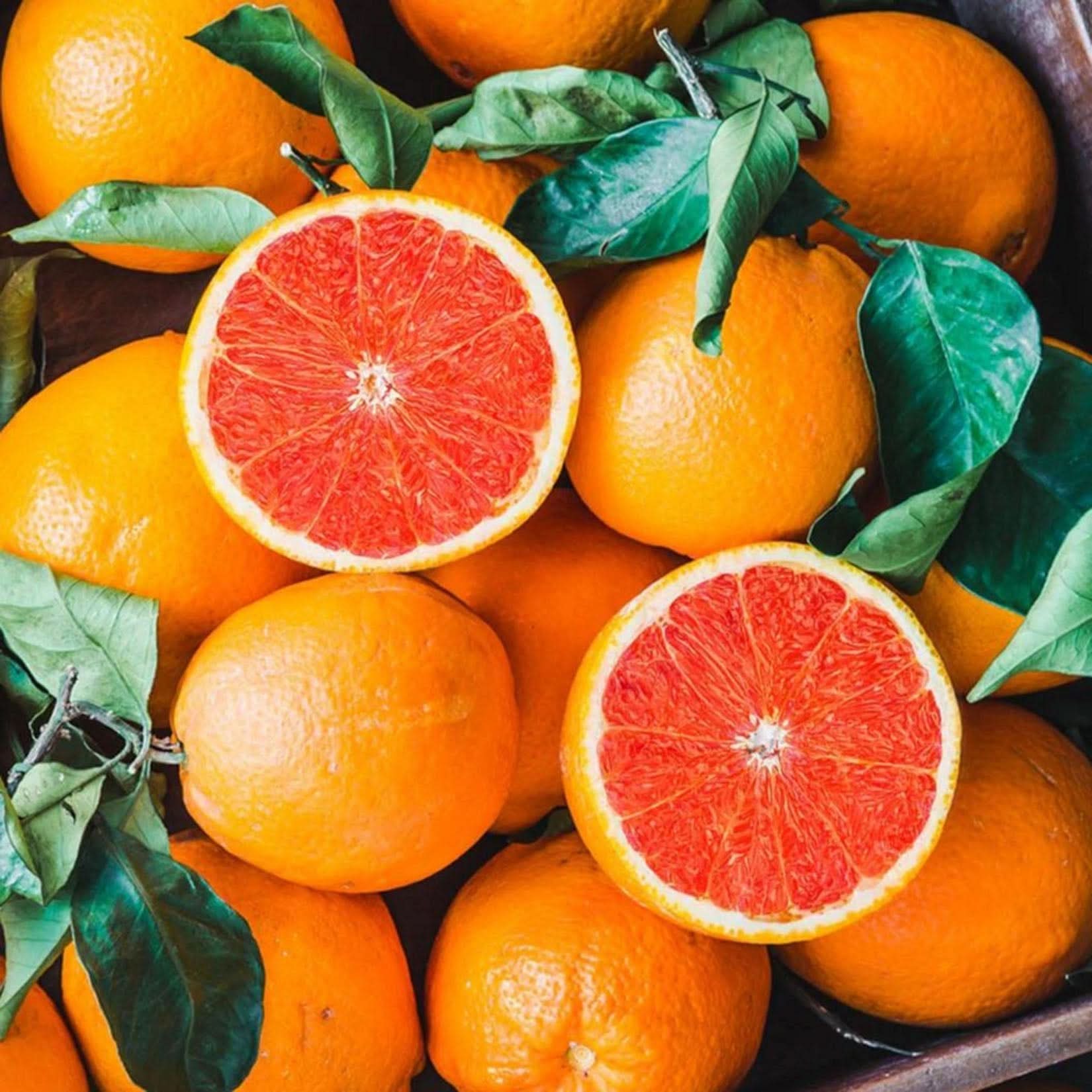 cara navel orange fruit for planting ideal fresh juices and snacks Fruit seeds