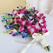 Mixed Orchid Flower Seeds