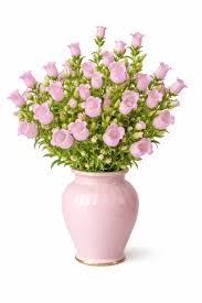 Pink Campanula Flower Seeds for - Heirloom Non GMO Premium Garden Seeds for Planting, High Germination Outdoor Plants