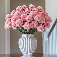 Pink Carnation Flower Seeds for - Heirloom Non GMO Premium Garden Seeds for Planting, High Germination Outdoor Plants