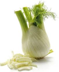 Green White Fennel vegetable seeds - Heirloom, Organic, Non Gmo Garden Seeds for kitchen garden planting