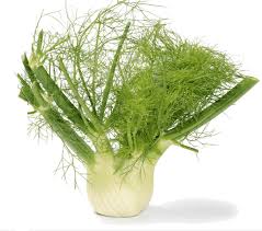 Green White Fennel Vegetable Seeds Heirloom, Non-GMO for Home Garden Planting