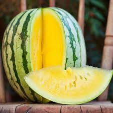 Golden Honey Watermelon Fruit Growing Refreshing And Sweet Watermelons Fruit Seeds