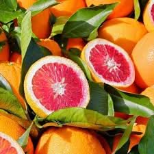 blood orange fruit for planting fast growing rich in vitamin c juicy gmo free Fruit seeds