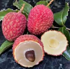 hak ip black leaf lychee fruit for planting grow your own sweet trees at backyard orchid Fruit seeds