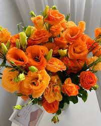Orange Eustoma Flower Seeds – - Heirloom Non GMO High Germination Garden Seeds for Planting