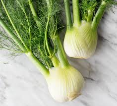Green White Fennel Vegetable Seeds Heirloom, Non-GMO for Home Garden Planting