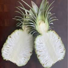 white flesh pineapple fruit for planting Fruit Seeds