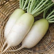 Daikon Radish Raphanus Longipinnatus Deep Root Cover Crop Planting Pound Heirloom Non Gmo Vegetable Seeds Heirloom, Non-GMO for Home Garden Planting