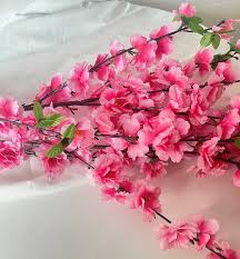 Pink Cherry Blossom Flower Seeds