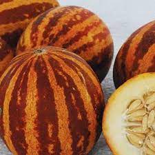 breast melon plant for planting grow refreshing and sweet fruits at your backyard orchid Fruit seeds