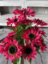 Pink Sunflower Seeds