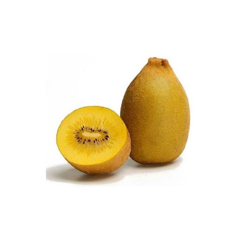 golden yellow kiwi fruit for planting grow sweet tangy kiwis in your backyard Fruit seeds