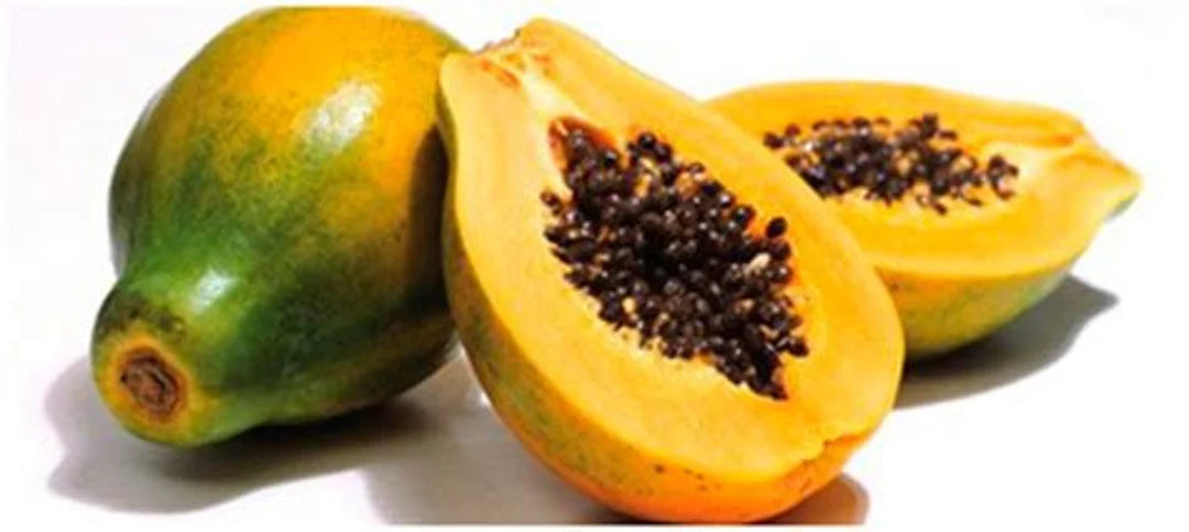 Hawaiian Rainbow Papaya Fruit Multi Colored Variety Your Backyard Fruit Seeds